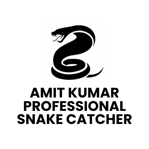 Amit Snake Catcher Chandigarh